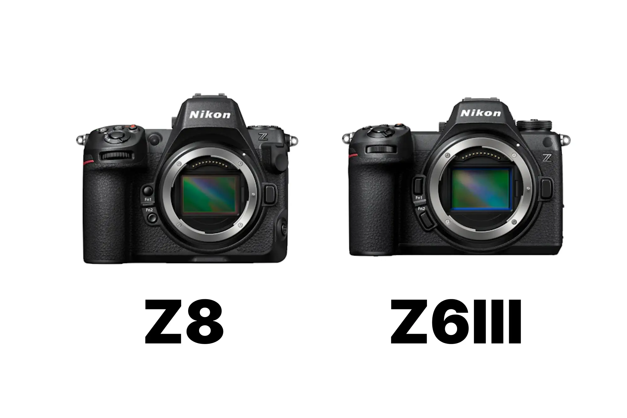 Nikon Z8とNikon Z6IIIを徹底比較！画質・AF・動画・携帯性の違いと